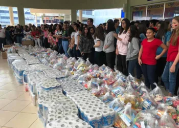 Alunos da Escola Primeiro Passo entregam mais de 2 mil kg de alimentos e produtos de higiene para instituições