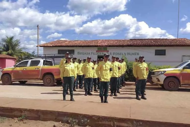 Ibama vai contratar brigadas para prevenir e combater incêndios