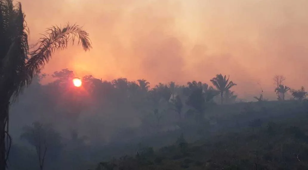 Chuvas, fiscalização e pouco vento contribuem para reduzir incêndios no fim de semana