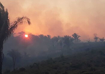 Chuvas, fiscalização e pouco vento contribuem para reduzir incêndios no fim de semana