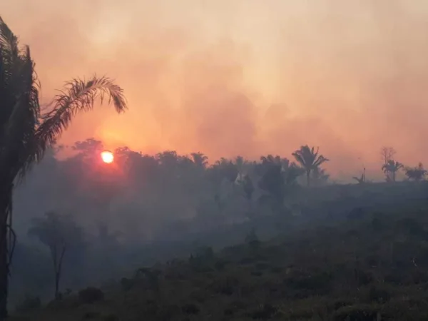 Chuvas, fiscalização e pouco vento contribuem para reduzir incêndios no fim de semana