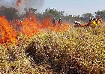 Bombeiros retornam ao Acre após capacitação na Bahia