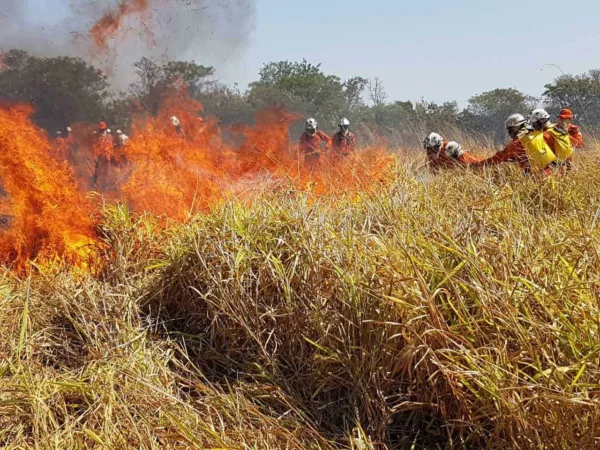 Bombeiros retornam ao Acre após capacitação na Bahia