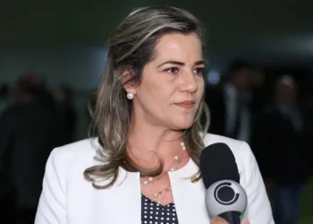Mara Rocha aprova requerimento para incluir Rio Branco no projeto de enfrentamento à criminalidade violenta