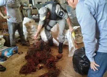 Sucatões são alvos de operação contra comercialização de cabos elétricos furtados em Rio Branco — Foto Divulgação Segurança Pública do Acre