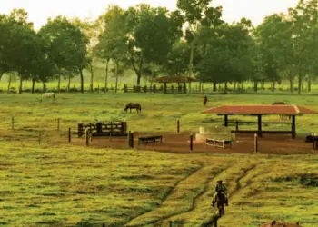 Acre poderia arrecadar até 6 vezes mais impostos sobre propriedades rurais