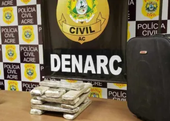 Denarc apreende cerca de 10kg de maconha após denúncia via WhatsApp
