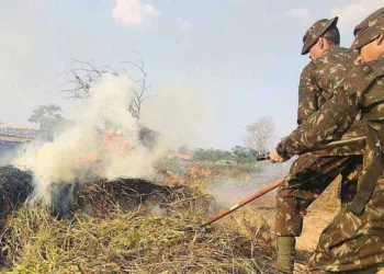 Bombeiros do Acre capacita 240 militares do Exército para combate a incêndios