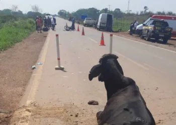 Motociclista morre após bater em caminhonete na BR-364