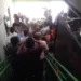 FOTO/ALCINETE GADELHA