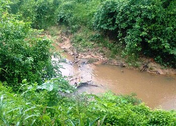 Menina de 12 anos é achada morta com corte profundo no pescoço