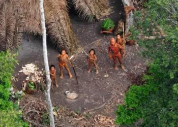 Carta pública alerta Bolsonaro e a sociedade sobre risco de genocídio dos “índios isolados”