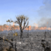 Operação de combate às queimadas embarga área de mil hectares no interior do Acre