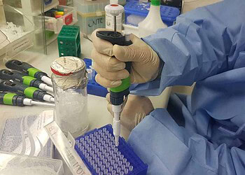 Mulheres e crianças infectadas por Zika desenvolvem imunidade ao vírus, diz Fiocruz