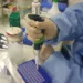 Mulheres e crianças infectadas por Zika desenvolvem imunidade ao vírus, diz Fiocruz
