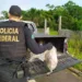 Armas e carne de caça ilegal são apreendidas em operação da PF no Acre