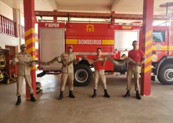 FOTO/DIVULGAÇÃO