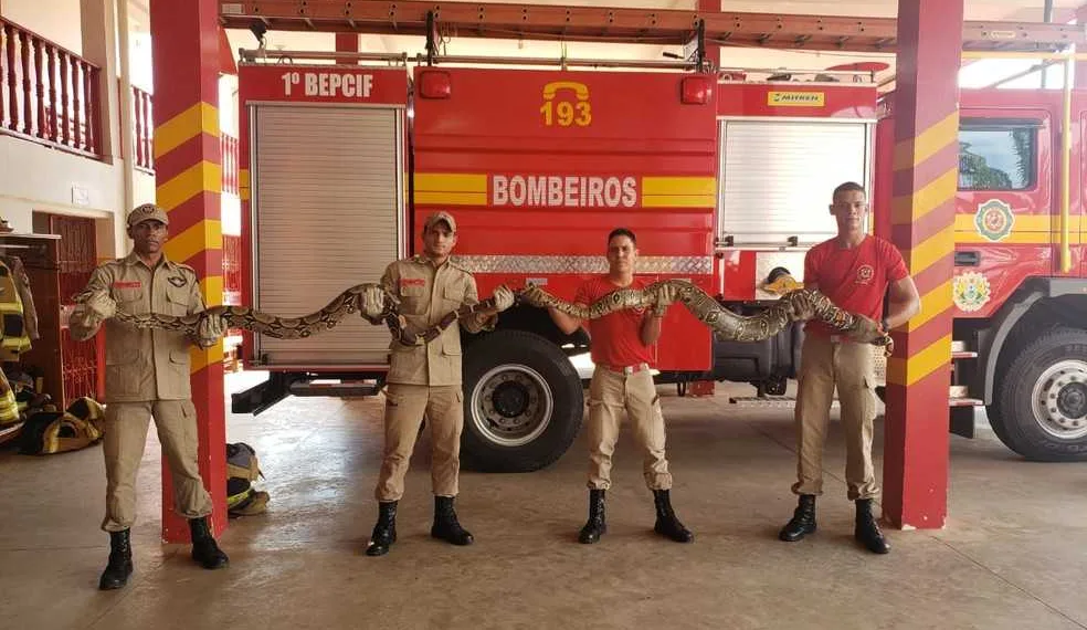 FOTO/DIVULGAÇÃO