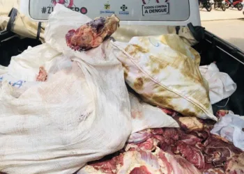 MP-AC e Vigilância Sanitária apreendem cerca de 250 quilos de carne clandestina em Sena Madureira