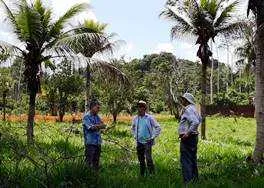 Pesquisadores realizam inspeção vegetal na fronteira entre Brasil, Bolívia e Peru
