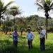 Pesquisadores realizam inspeção vegetal na fronteira entre Brasil, Bolívia e Peru