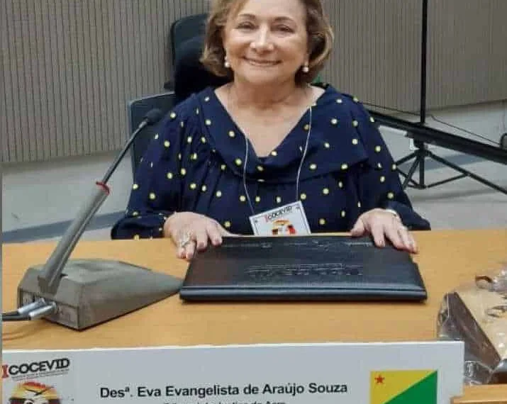 Desembargadora do TJ-AC é eleita vice-presidente de grupo nacional de combate à violência doméstica