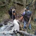 Queda de avião que deixou dois mortos na fronteira do Acre é investigada pela PF