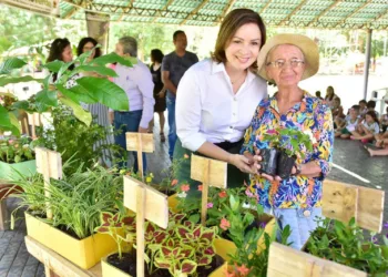 Prefeitura de Rio Branco vai distribuir 15 mil mudas para incentivar paisagismo e arborização