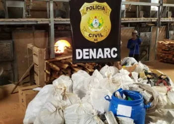 Polícia incinera mais de 700 quilos de drogas em Rio Branco