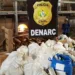 Polícia incinera mais de 700 quilos de drogas em Rio Branco