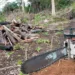 Desmatamento recorde fará Acre perder € 30 milhões até 2021 