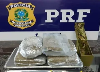 Casal é preso com mais de 16 quilos de droga em carro, no Quinari