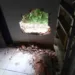 Bandidos arrombam lotérica em Sena Madureira e levam dinheiro de cofre