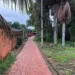 Adolescente de 17 anos é morta a tiros e facadas no bairro Santa Inês