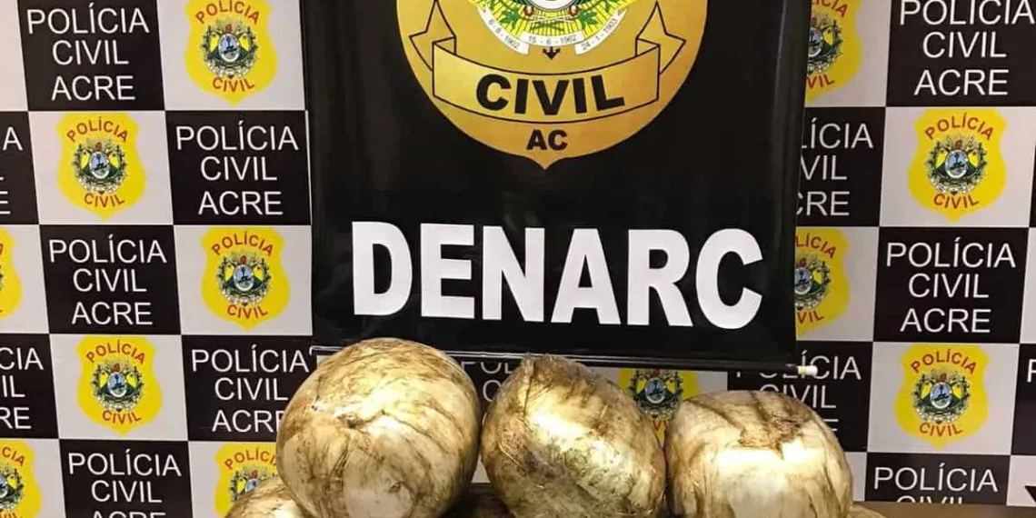 Após denúncia, polícia apreende mais de 25 kg de skank e prende trio