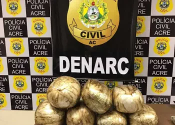 Após denúncia, polícia apreende mais de 25 kg de skank e prende trio
