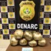 Após denúncia, polícia apreende mais de 25 kg de skank e prende trio