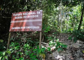 Petição reúne mais de 11 mil assinaturas contra PL que tira proteção integral da Serra do Divisor