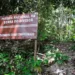 Petição reúne mais de 11 mil assinaturas contra PL que tira proteção integral da Serra do Divisor