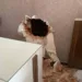 Criminosos quebraram parede de três estabelecimentos para roubar loja de roupas