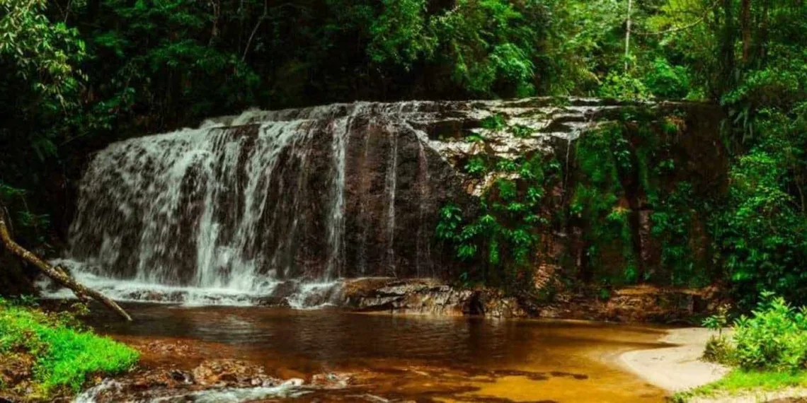 Abaixo assinado contra PL que visa tirar proteção integral da Serra do Divisor já tem mais de 5 mil assinaturas