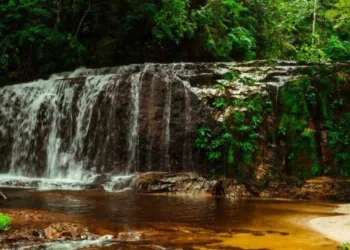 Abaixo assinado contra PL que visa tirar proteção integral da Serra do Divisor já tem mais de 5 mil assinaturas