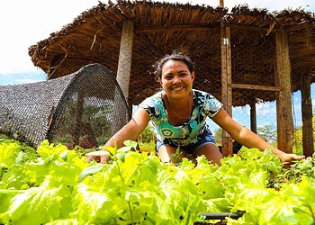 Governo amplia investimentos para pequenos e médios produtores rurais