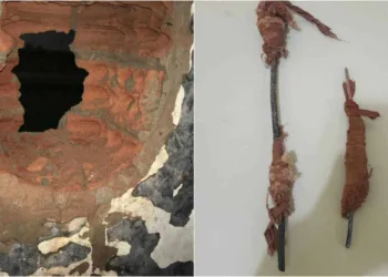 Adolescentes de centro socioeducativo fazem buraco em cela e tentam fugir