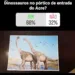 Governo propõe esculpir dinossauros no portal de entrada do Acre e faz enquete na internet