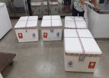 Saúde recebe 9 mil doses da vacina pentavalente  