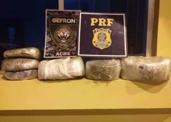 Passageiras de ônibus são flagradas com mais de 11 quilos de skank em estrada