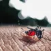 Acre registra mais de 2,7 mil casos suspeitos de dengue no mês de janeiro