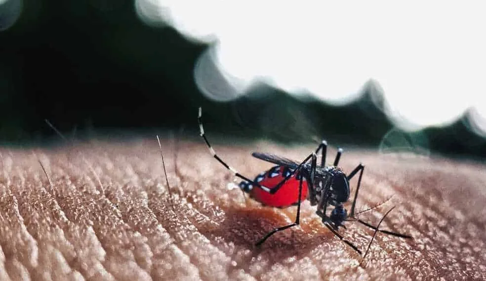 Acre registra mais de 2,7 mil casos suspeitos de dengue no mês de janeiro