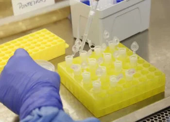 Diagnóstico laboratorial de casos suspeitos do novo coronavírus (2019-nCoV), realizado pelo Laboratório de Vírus Respiratório e do Sarampo do Instituto Oswaldo Cruz (IOC/Fiocruz), que atua como Centro de Referência Nacional em Vírus Respiratórios para o Ministério da Saúde